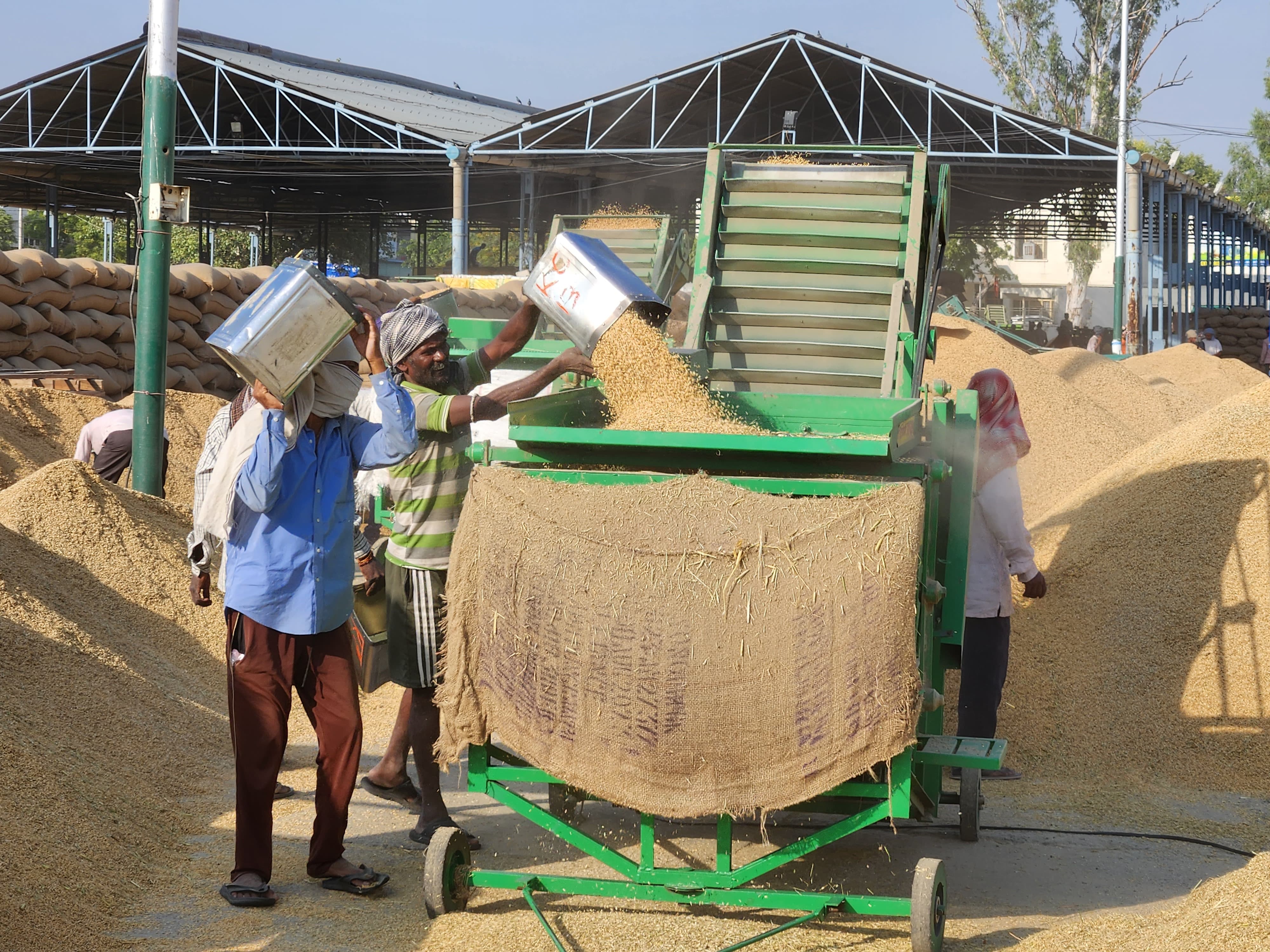 The arrival of paddy in the mandis of Patiala district has crossed 5 lakh metric tons